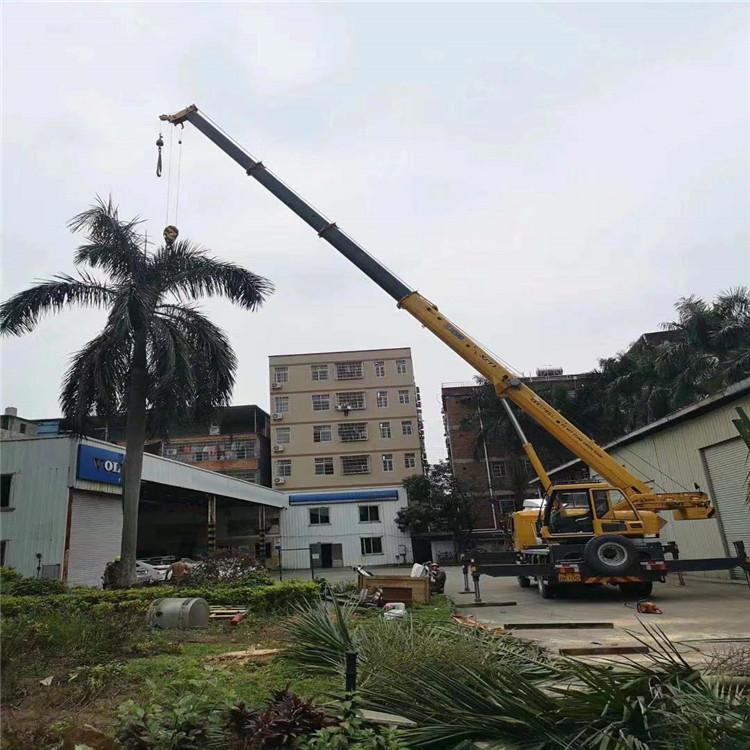 新余汽车吊出租多少钱？全面解析与市场行情